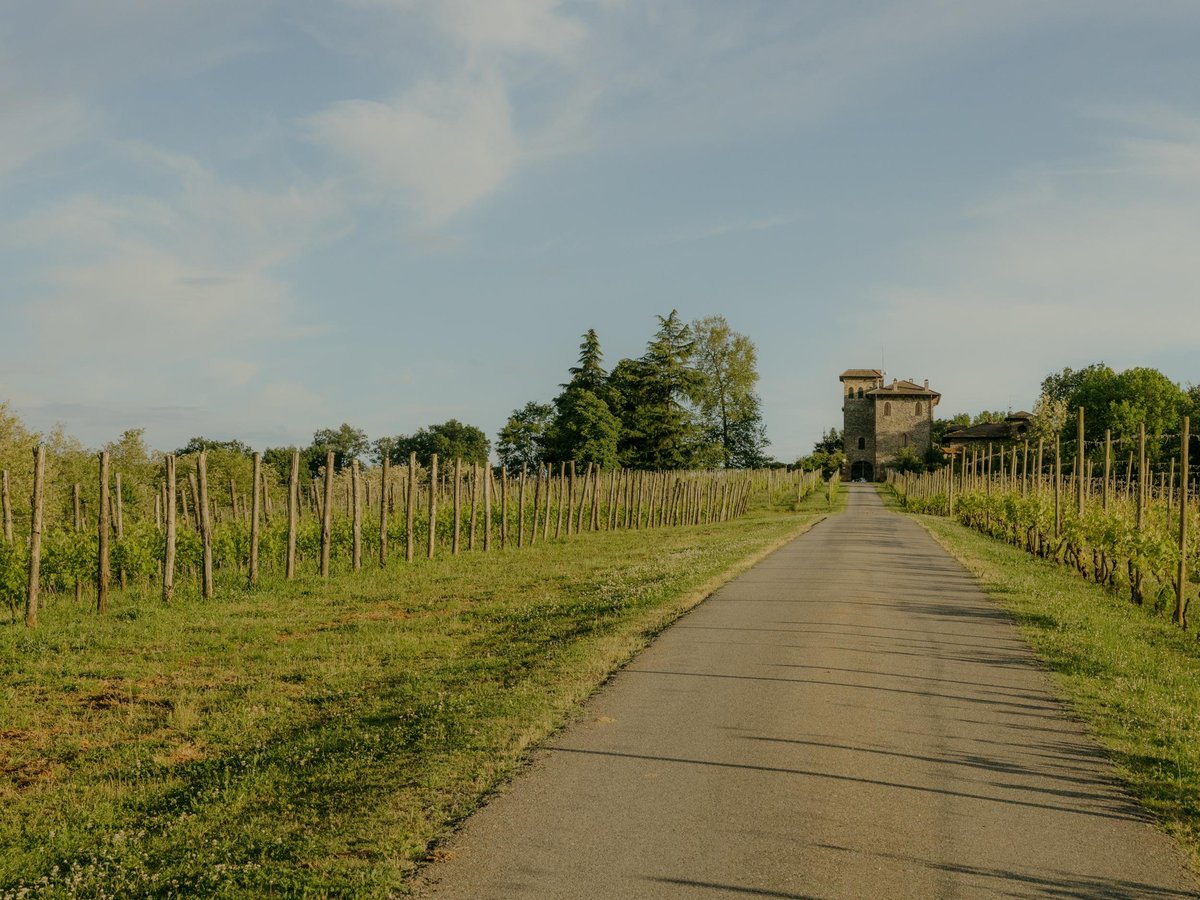 La Stoppa vineyard landscape